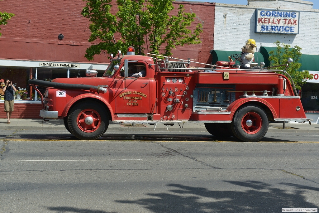 DSC_1481