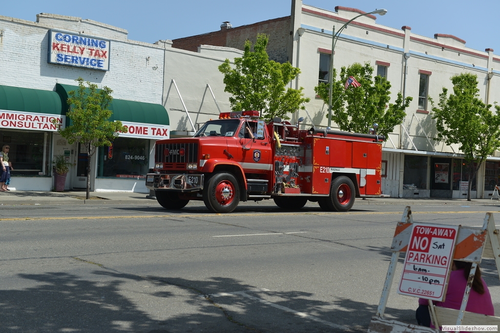 DSC_1561