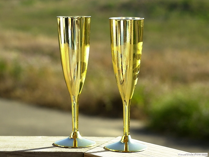 Champagne Glasses-01S