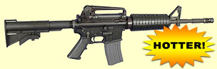 cid:D2F59B31DD164676A21869B41A214463@beast