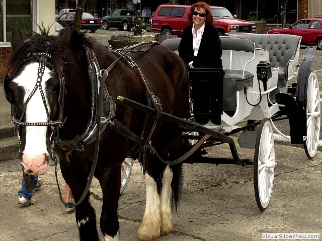 carriage1