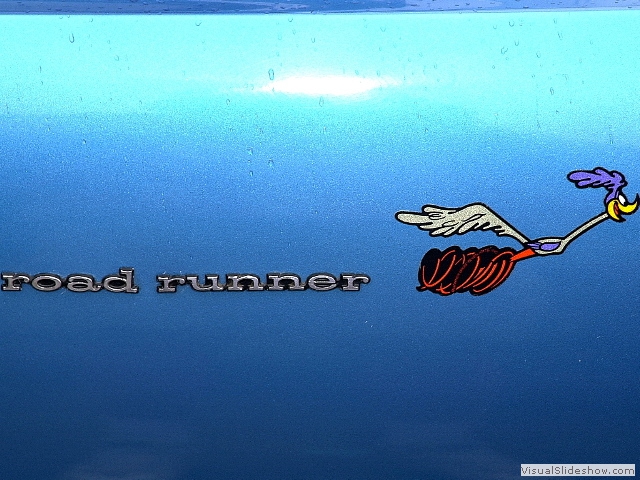 roadrunner1