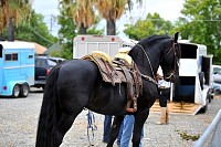 DSC_4639.jpg