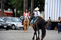 DSC_4660.jpg