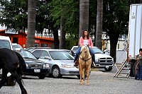 DSC_4662.jpg