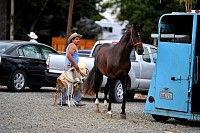 DSC_4676.jpg