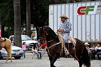 DSC_4823.jpg
