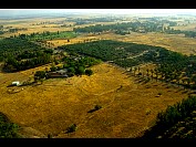 DSC_5794.JPG