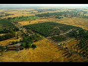 DSC_5795.JPG