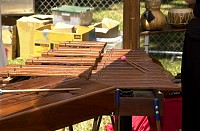 DSC_3395.jpg