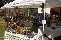 DSC_3397.jpg
