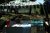 DSC_3447.jpg