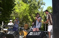 DSC_3661.jpg