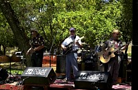 DSC_8881.jpg