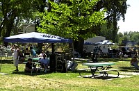 DSC_8907.jpg