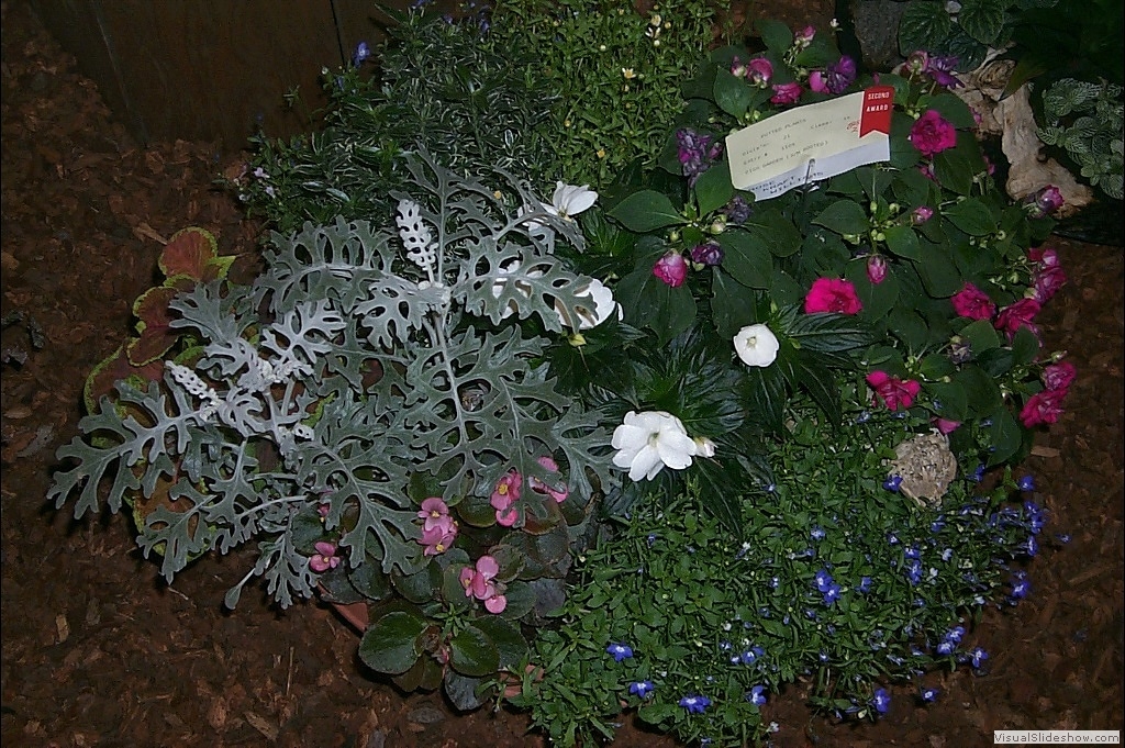 P0001955