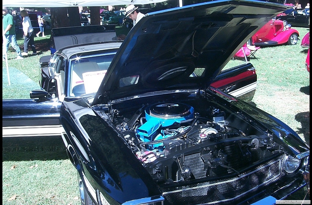 P0005338