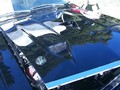 P0005319