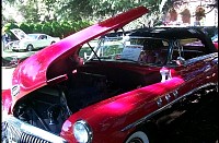 P0005237.jpg