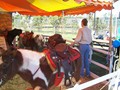 ChicoExpo199813