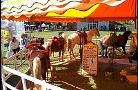 ChicoExpo199815.jpg