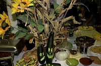 DSC_5565.jpg