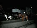AUT_0738