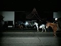 AUT_0739