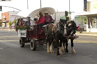 DSC_6069.jpg