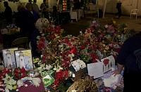 DSC_6105.jpg