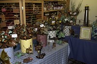 DSC_6110.jpg