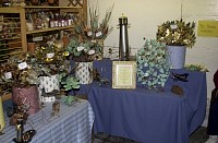 DSC_6111.jpg