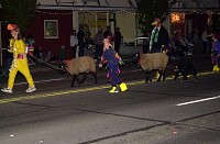 DSC_6216.jpg