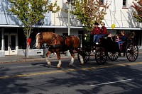 DSC_3459.jpg