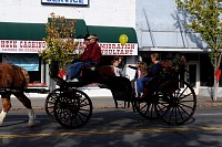 DSC_3464.jpg
