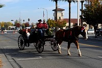 DSC_3503.jpg
