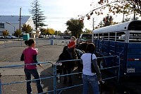 DSC_3586.jpg
