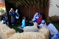 DSC_3590.jpg
