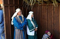 DSC_3602.jpg