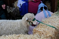 DSC_3608.jpg