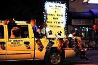 DSC_3956.jpg
