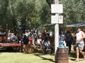 OliveFestival199855