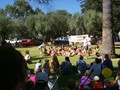 OliveFestival199860