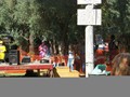 OliveFestival199862