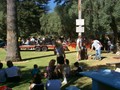 OliveFestival199863