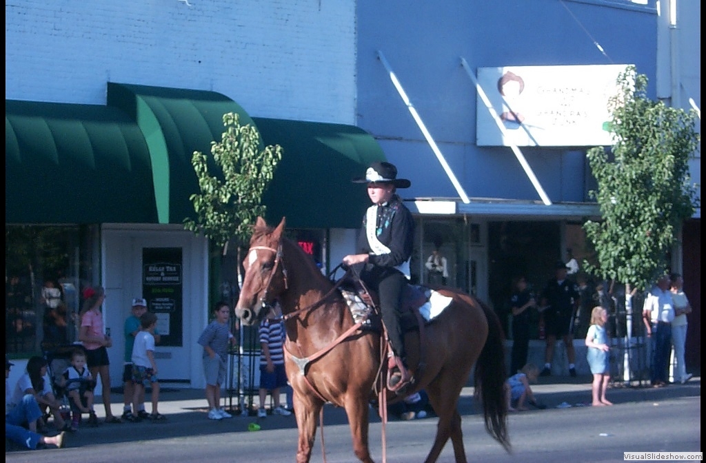 P0003531
