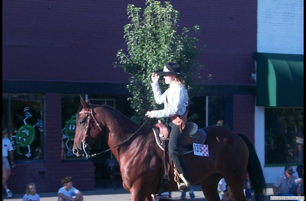 P0003533