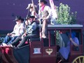 P0003544