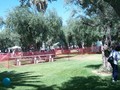 P0003770