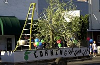 DSC_0015.jpg